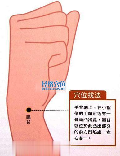 阳谷穴的位置