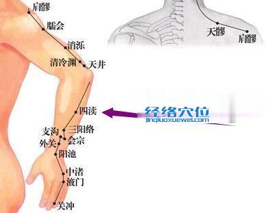 四渎穴位位置图
