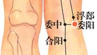 按摩委阳穴位的作用(图解)