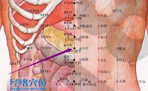 建里穴的准确位置图