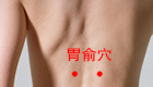 按摩胃俞穴位治疗消化不良、呕吐、失眠