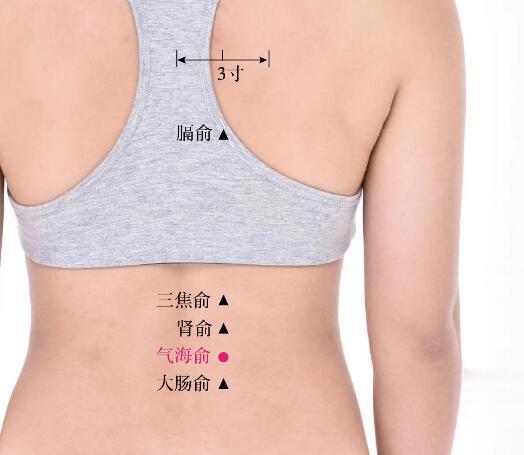 气海俞的准确位置图及功效视频位位置图
