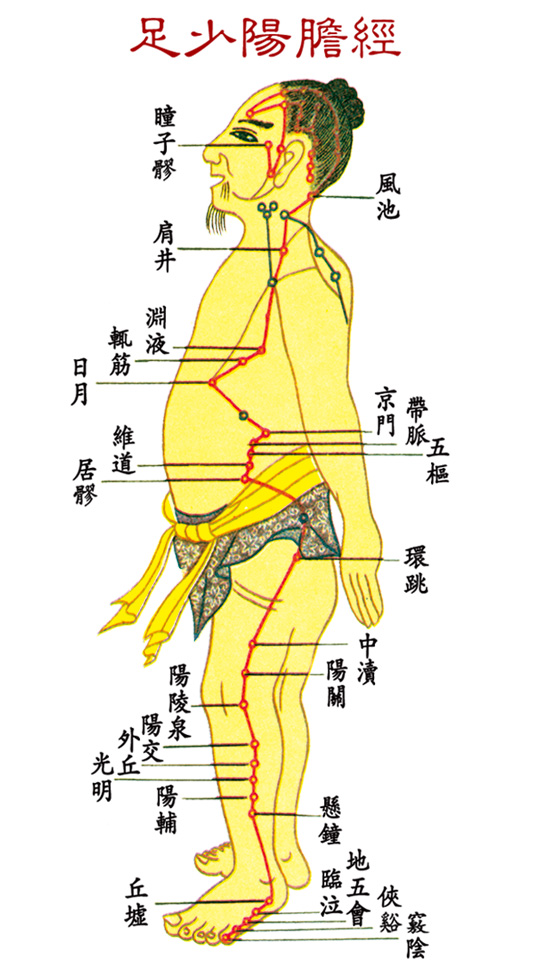 足少阴胆经